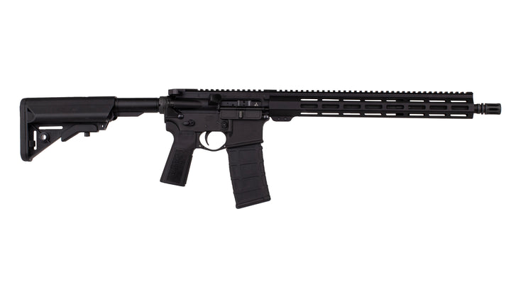 Advanced Patrol Rifle