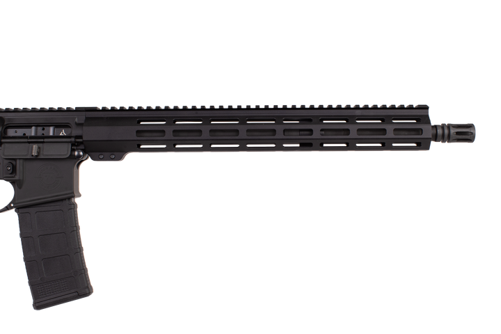 Advanced Patrol Rifle