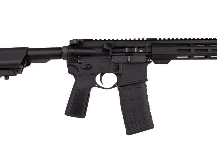 Advanced Patrol Rifle