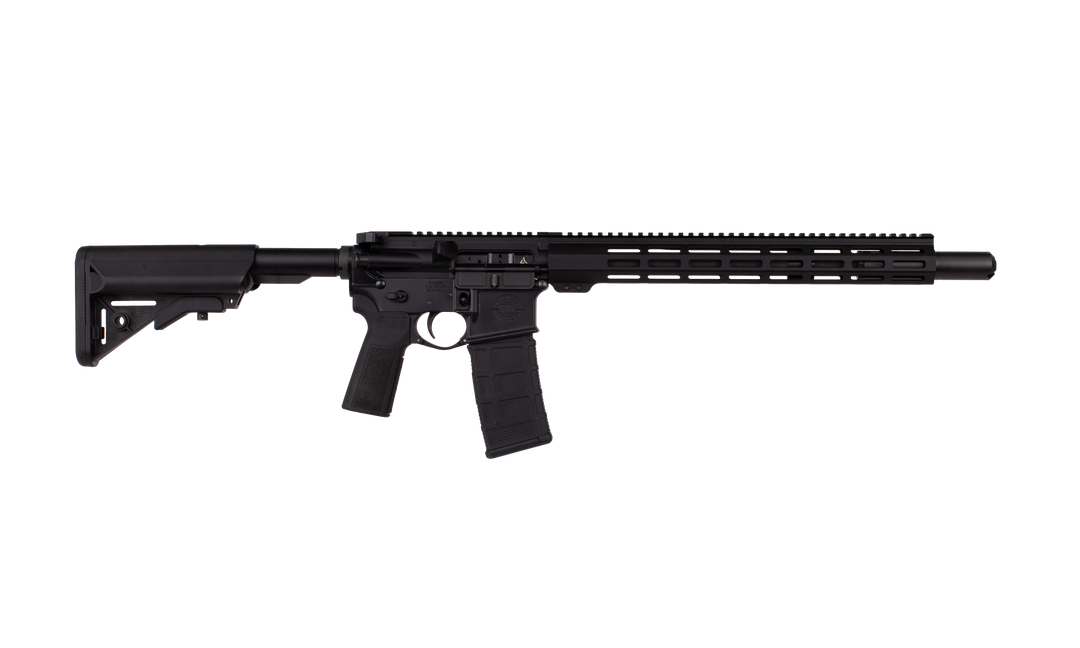 Advanced Patrol Rifle