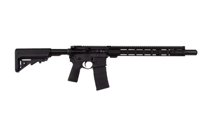 Advanced Patrol Rifle