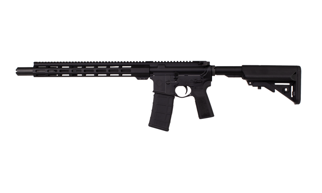 Advanced Patrol Rifle