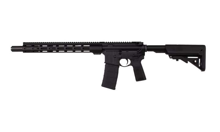Advanced Patrol Rifle
